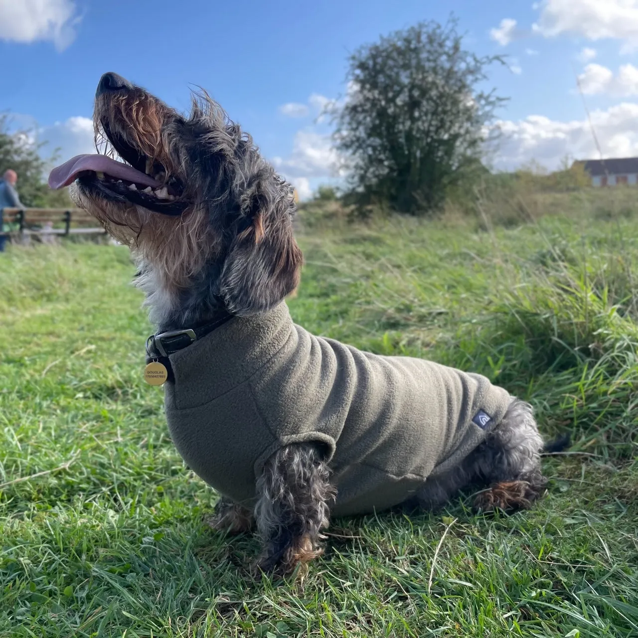 Standard Dachshund Fleece Jumper