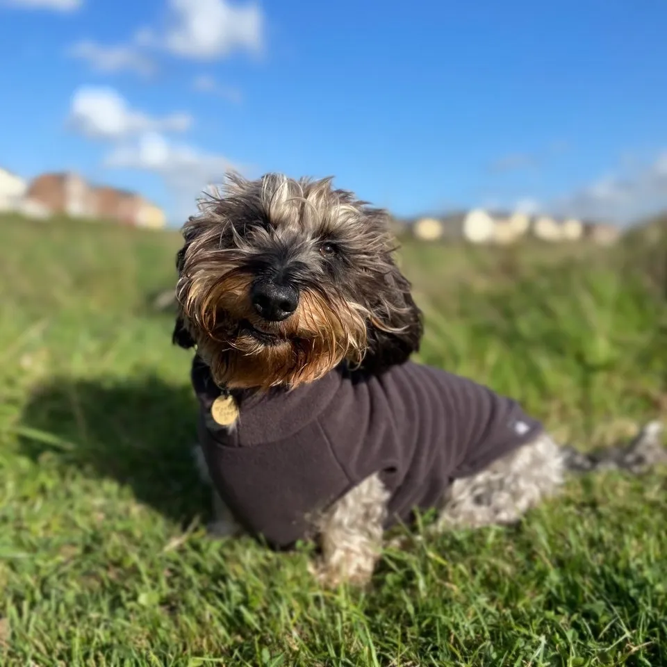 Standard Dachshund Fleece Jumper