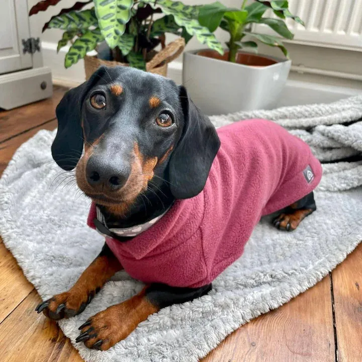 Standard Dachshund Fleece Jumper
