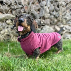 Standard Dachshund Fleece Jumper