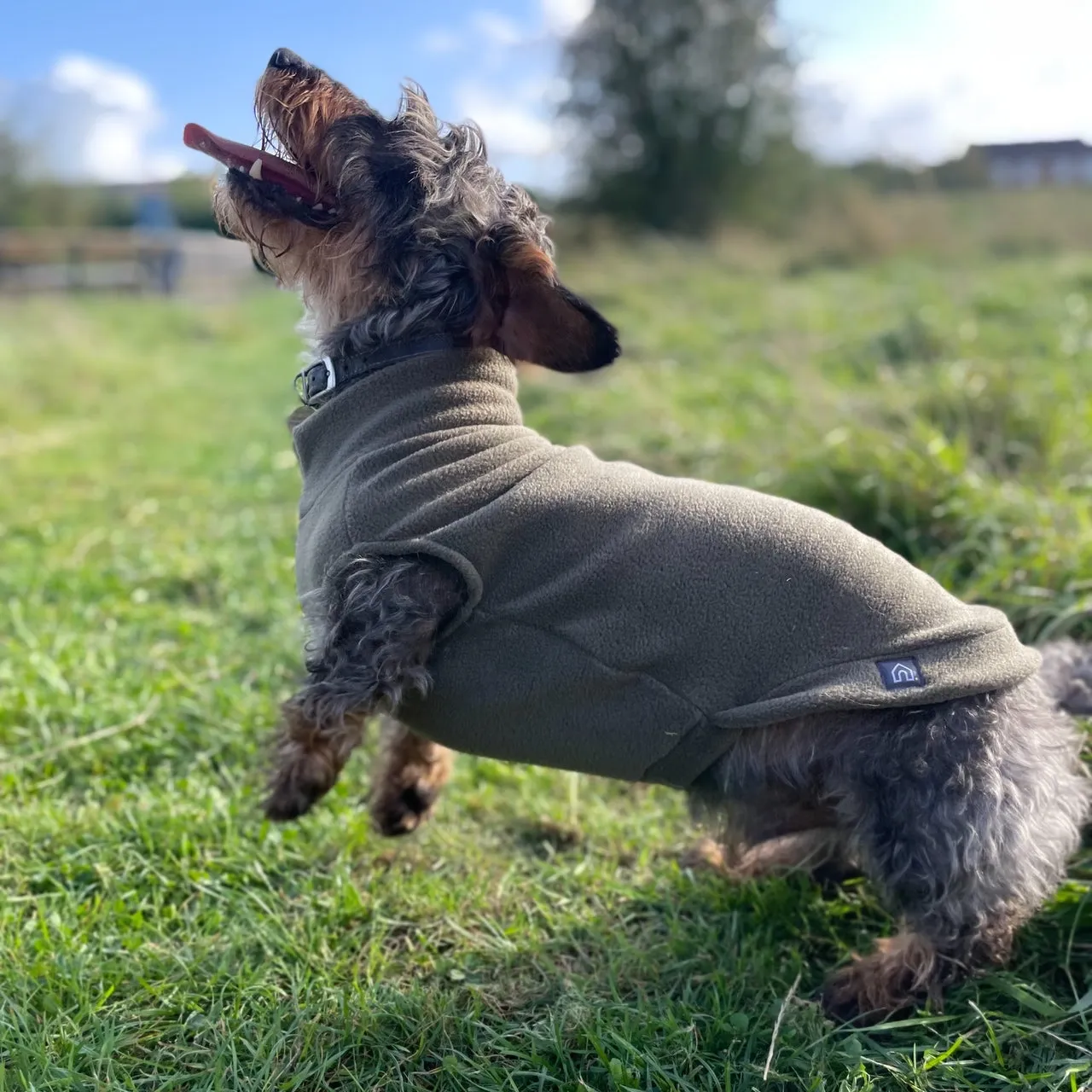 Standard Dachshund Fleece Jumper